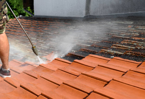 Best Concrete Pressure Washing  in Heceta Beach, OR